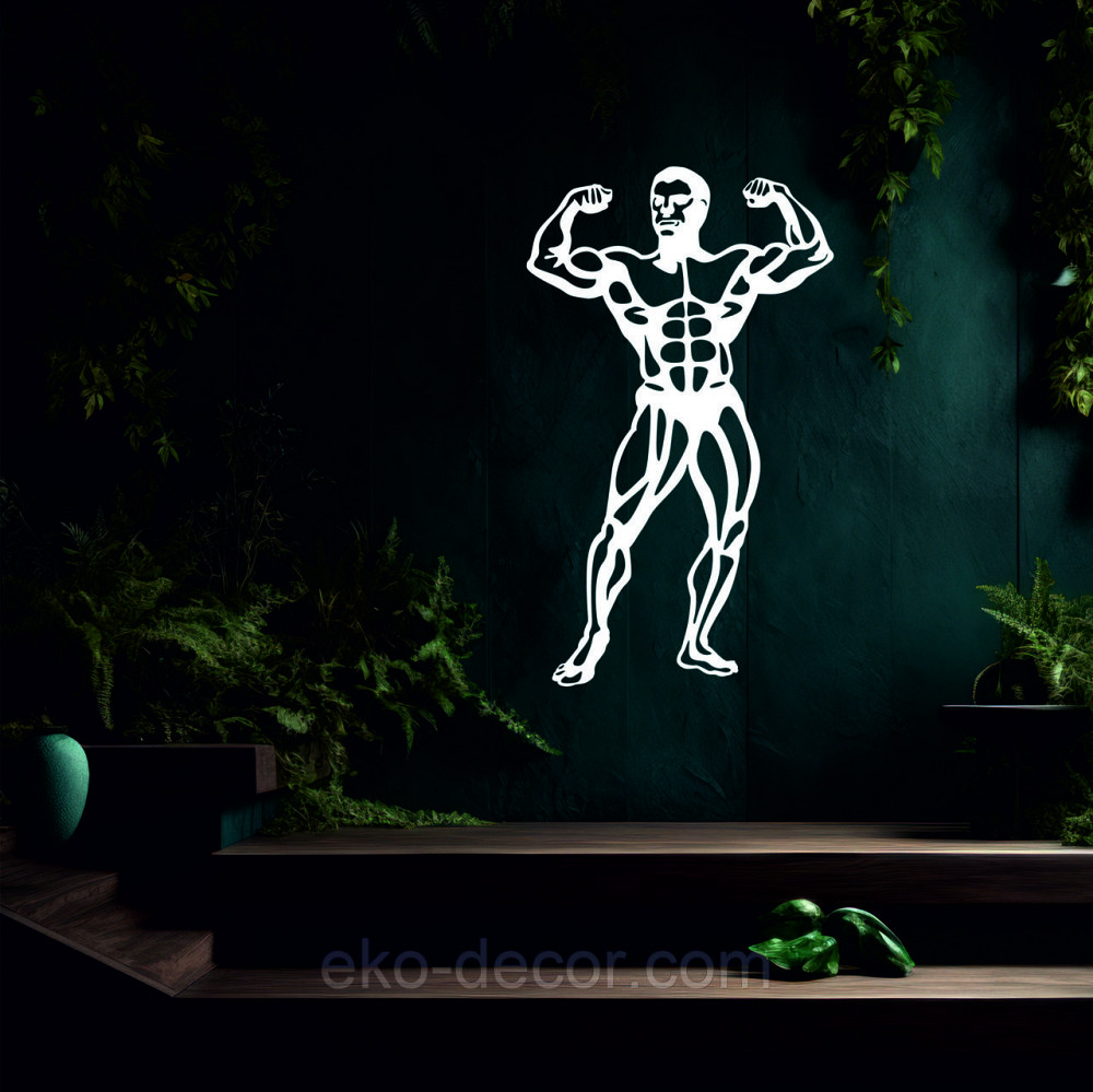 Декоративное настенное Панно «Бодибилдер», Декор на стену 90*53 см, Белый Киев - изображение 6