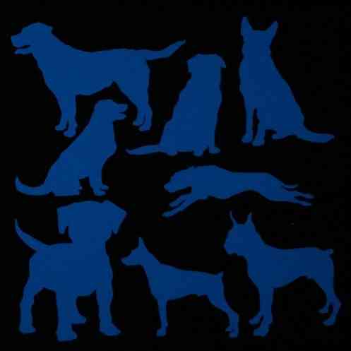 Люминесцентная наклейка 15*15см Киев