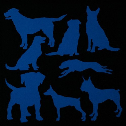 Люминесцентная наклейка 15*15см Киев - изображение 1