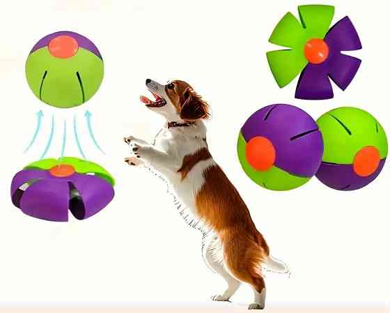 Мячик диск для собак 8 см фиолетово салатовый Киев