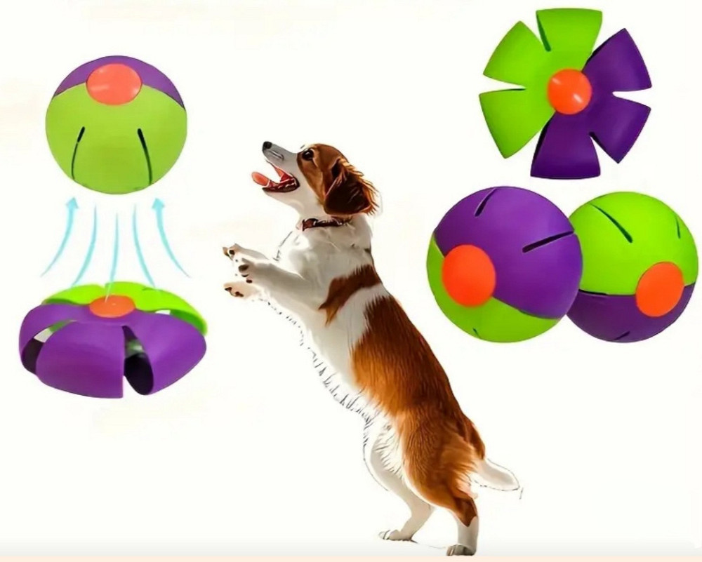 Мячик диск для собак 8 см фиолетово салатовый Киев - изображение 1