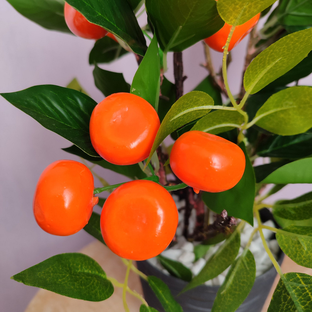 Соковитий мандарин Дніпро - фото 2