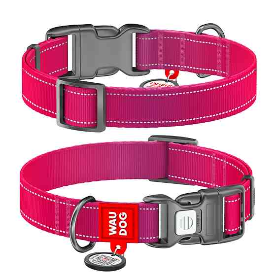 Coastal Fashion Waterproof Dog Collar КОСТАЛ біотановий нашийник для собак Київ