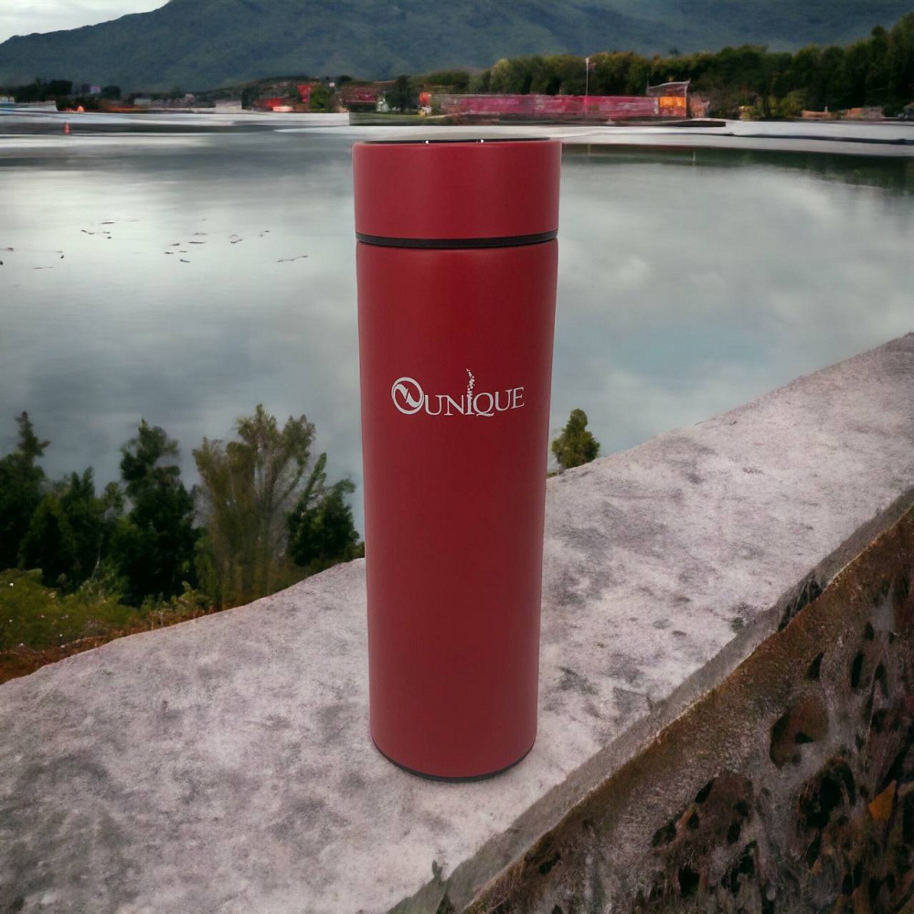 Термос с индикатором температуры 0.5 л, Красивый небольшой термос, Термокружка для автомобиля GF-70 Львов - изображение 1