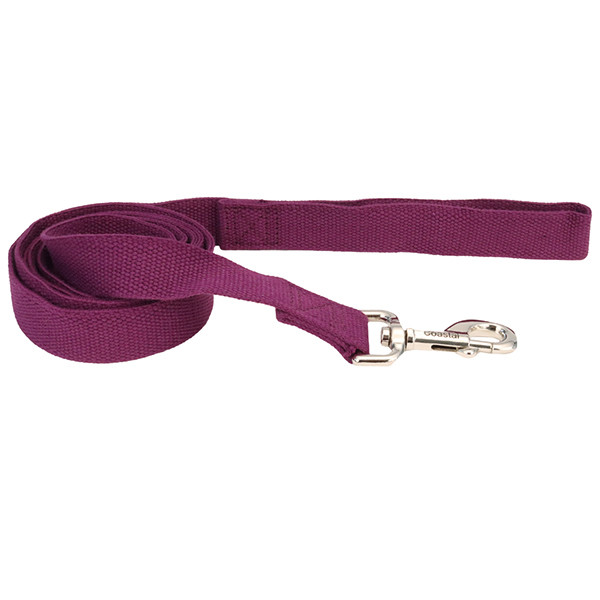 Coastal New Earth Soy Dog Leash КОСТАЛ СОЄВИЙ ЕКОПОВІДЕЦЬ для собак Київ - фото 1