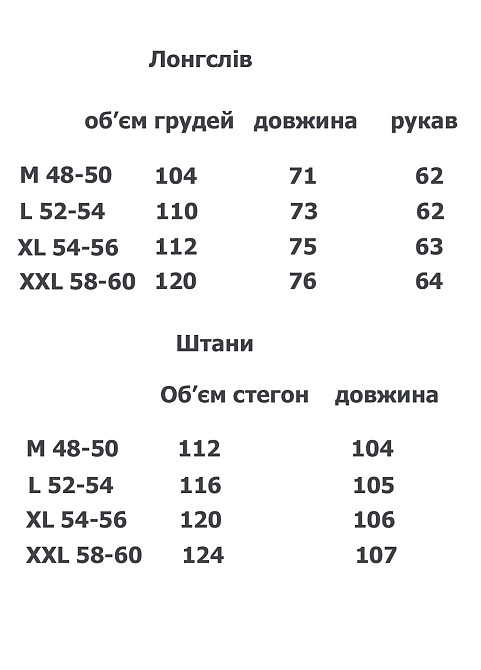 Пижама мужская брюки и лонгслив флис SN3003 M Киев - изображение 3