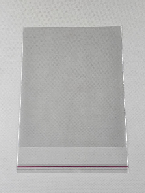 Пакеты БОПП с клейкой лентой полипропиленовые 18*22+4\25мк +скотч (1000 шт) Харьков - изображение 1