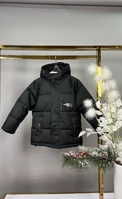 Детская зимняя черная курточка для мальчика на холофайбере 122,128 Николаев - изображение 2