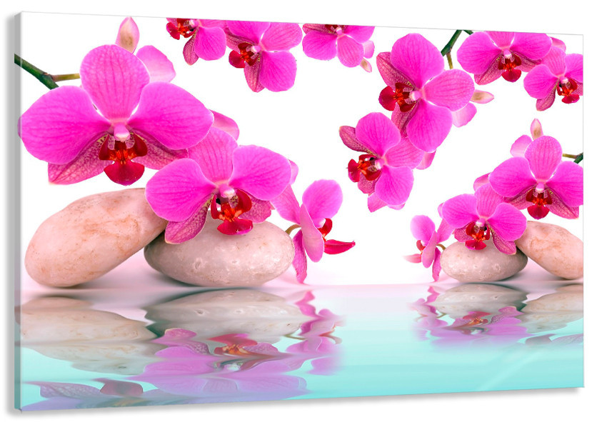 Картина холст в гостиную / спальню   Орхідея  MLP_120 50x100 см Киев - изображение 1
