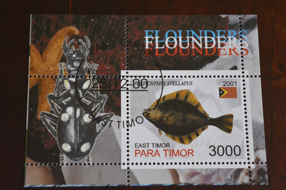 Тимор. Фауна. 2001 год Полтава - изображение 1