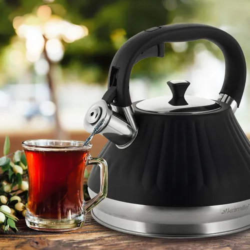 Чайник 3л нержавіюча сталь зі свистком з ручкою 