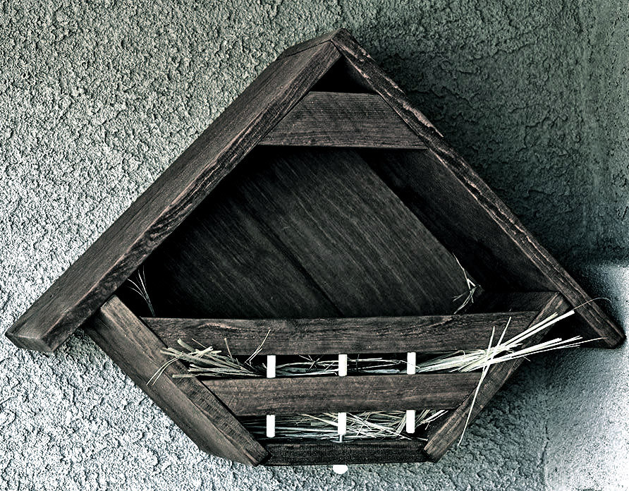 Гнездовье для птиц 