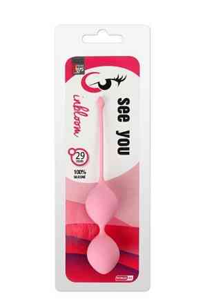 Вагинальные шарики DreamToys ALL TIME FAVORITES 60 гр. со смещенным центром тяжести, розовые Sex Aura Киев