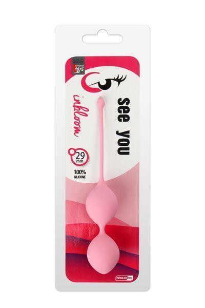 Вагинальные шарики DreamToys ALL TIME FAVORITES 60 гр. со смещенным центром тяжести, розовые Sex Aura Киев - изображение 2