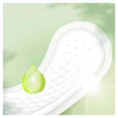 Ежедневные прокладки Naturella Camomile Normal 20 шт. (8006540100684) Винница