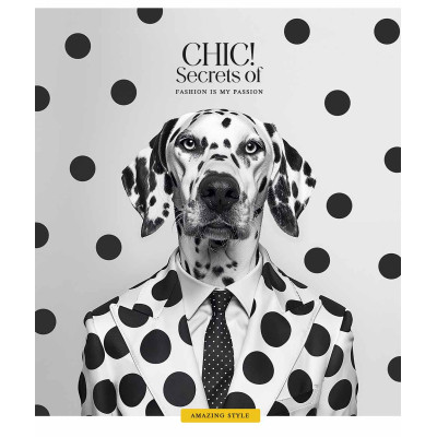 Зошит Школярик Fashion chic 36 аркушів клітинка (036-3458K) Вінниця - фото 1