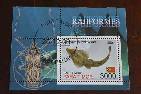 Тимор. Фауна. 2001 год Полтава