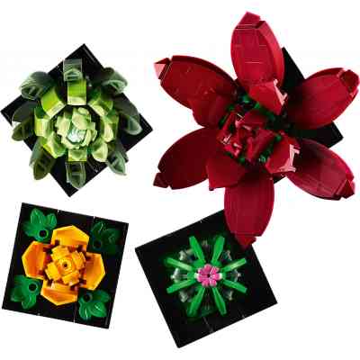 Конструктор LEGO Botanicals Сукуленти (10309-) Вінниця