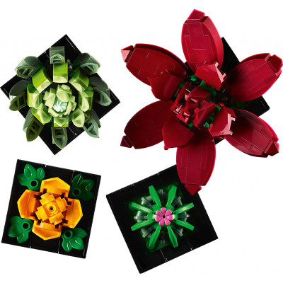 Конструктор LEGO Botanicals Суккуленты (10309-) Винница - изображение 3