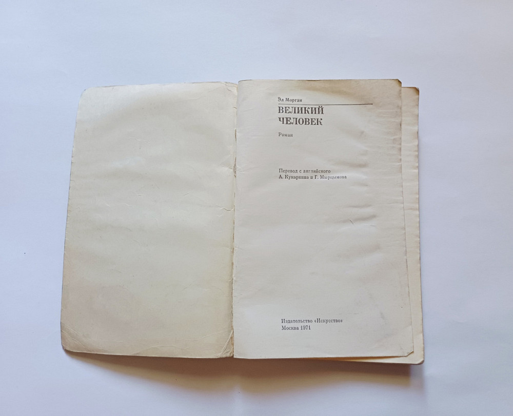 Книга Роман Велика людина Ел Медіган Київ - фото 2