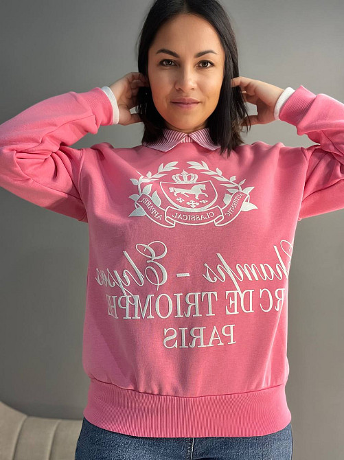 Світшот жіночий OLIVIA 2473 з коміром та малюнком попереду утеплений на флісі one size, рожевий, one size Київ - фото 12