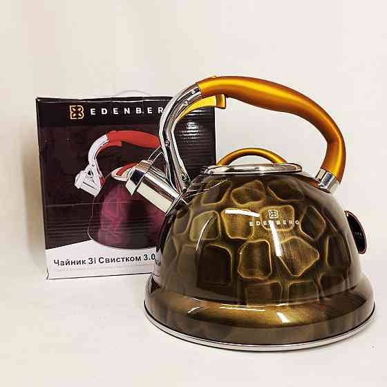 Чайник нержавейка со свистком бытовой, Качественный чайник для газовой плиты газовый 3 литра IE-49 Львов