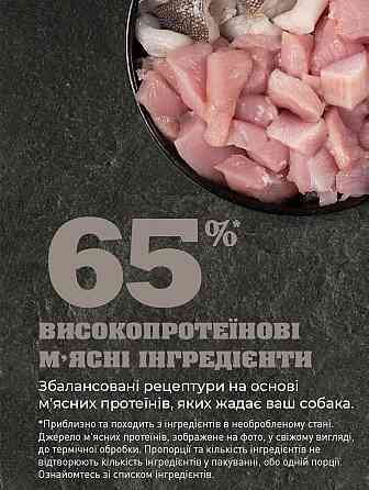 Acana Light & Fit Recipe (Акана Лайт енд Фіт Ресипе) сухий корм для дорослих собак з надмірною вагою Запоріжжя