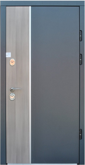 Двери уличные, модель Thermo Steel  Standart 21-17, 2 замка, одинарные, глухие 870R Киев - изображение 1