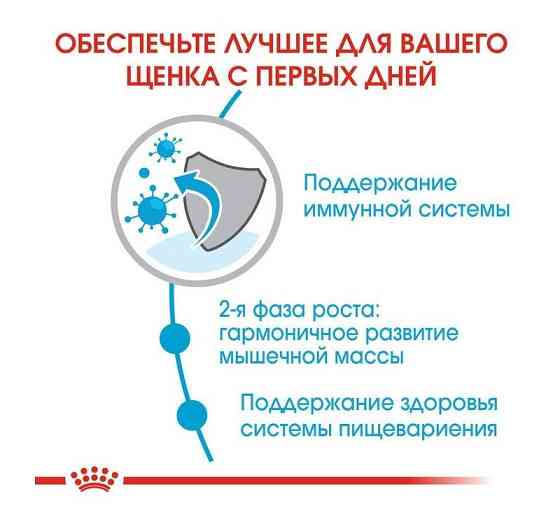 Royal Canin Giant Junior (Роял Канін Джаїнт Джуніор) сухий корм для цуценят гігантських порід від 8 місяців Запоріжжя