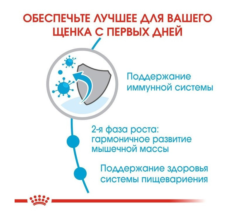 Royal Canin Giant Junior (Роял Канін Джаїнт Джуніор) сухий корм для цуценят гігантських порід від 8 місяців Запоріжжя - фото 4