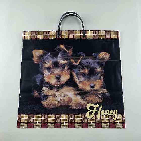 Пакет із пластиковою ручкою (36х37) "Хані" (10 шт.) Харків