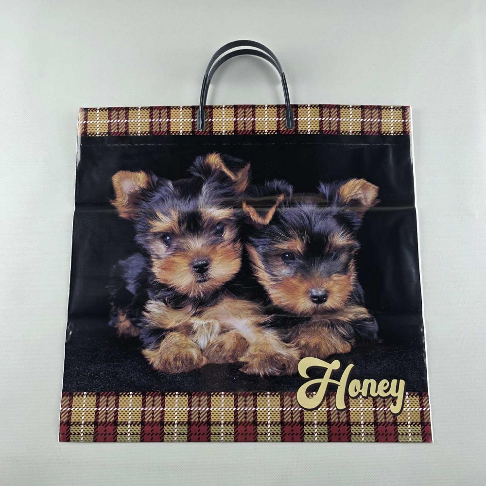 Пакет із пластиковою ручкою (36х37) "Хані" (10 шт.) Харків - фото 2