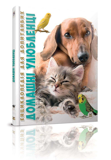 Енциклопедія для допитливих А5 