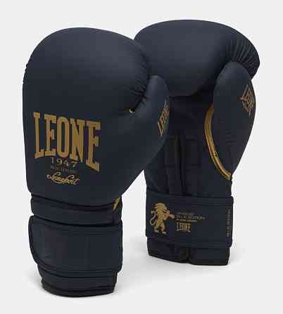 Боксерські перчатки Leone Mono Blue 12 ун. Кам'янське