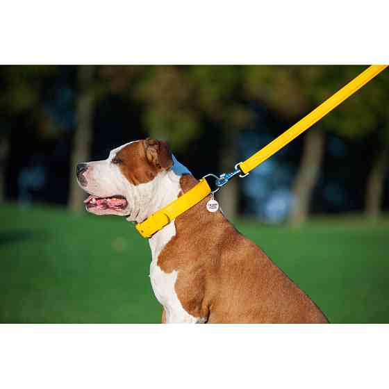 Повідець для собак шкіряний WAUDOG Glamour, Ш 25 мм, Дов 122 см жовтий Коломия