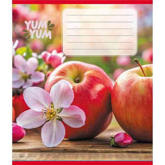 Зошит учнівський "Фрукти" 036-580143L-2 в лінію, 36 аркушів Вінниця