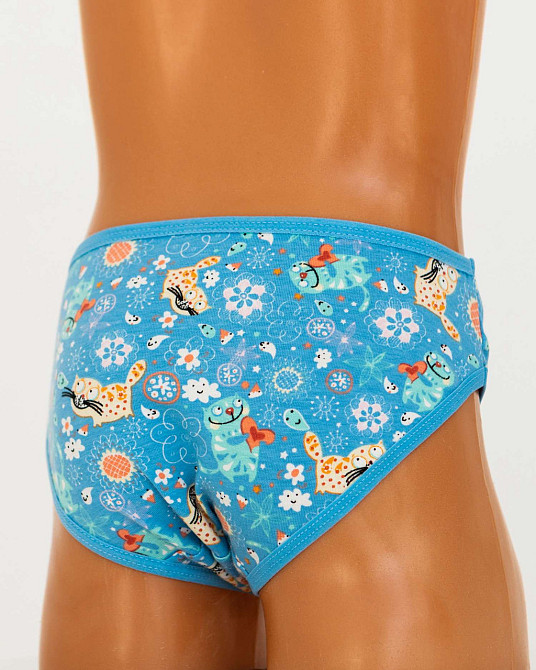 Набор детских трусиков на девочку 5 шт Nicoletta 540012 2-3 Киев - изображение 3