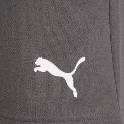 Шорты Puma teamRISE Short 704942-13 сірий XL (4063699212075) Винница - изображение 14