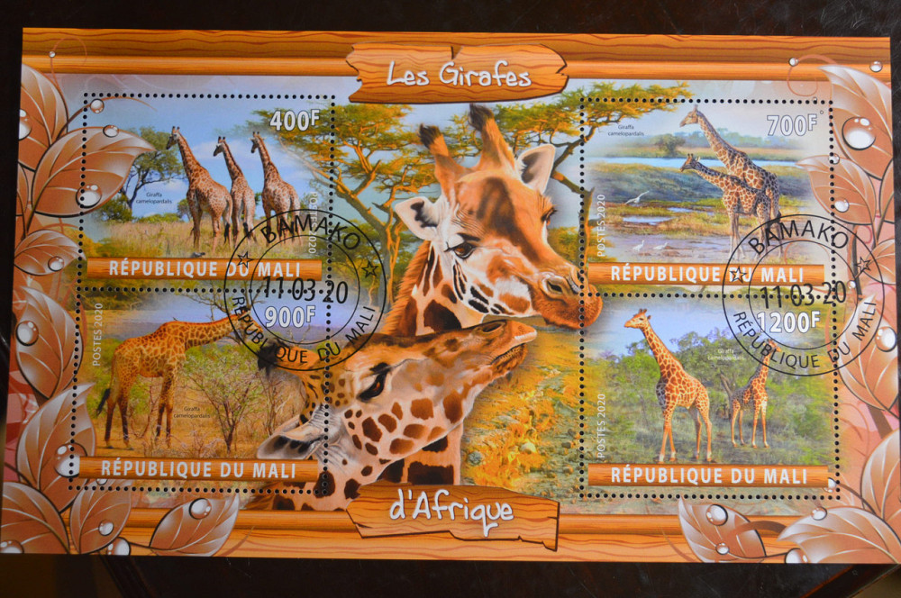 Мали. Марки. Фауна. Блок. 2020 год (В-2) Полтава - изображение 1
