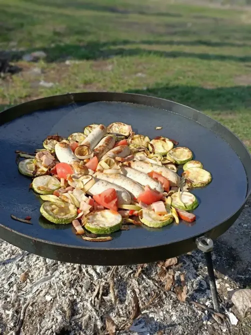 Мангал сковорода з диска, борони для пікніка смаження мангал 40 Київ - фото 8