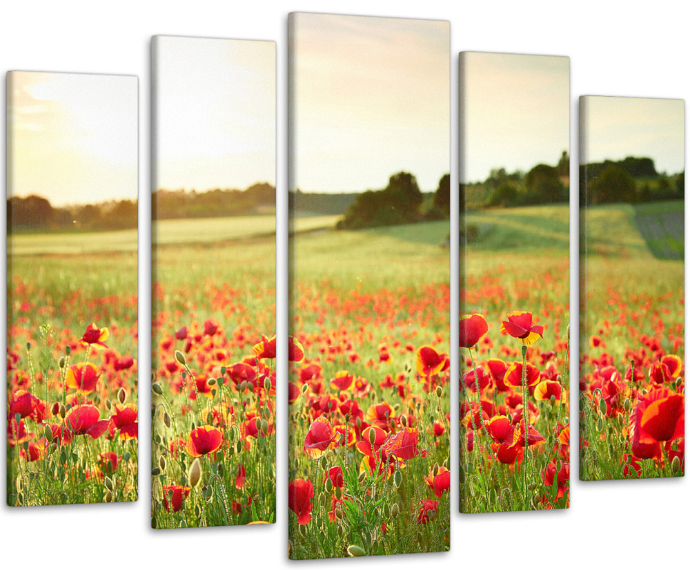 Модульная картина Природа Маки Art-176_5 Киев - изображение 1