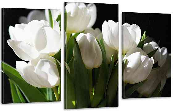 Модульна картина кольору Білі Тюльпани Art-4_3b 100x150 см Київ