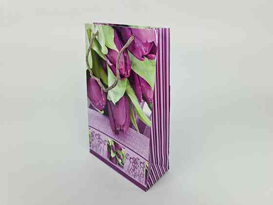 Бумажный пакет подарочный Средний 17/26/8 (артSV-124) (12 шт) Харьков