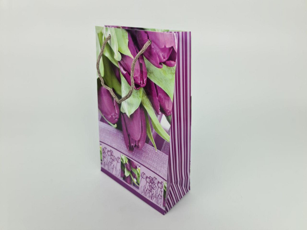 Бумажный пакет подарочный Средний 17/26/8 (артSV-124) (12 шт) Харьков - изображение 2