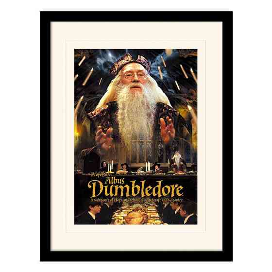 Постер у рамі "Harry Potter (Dumbledore)" 30 x 40 см Рівне