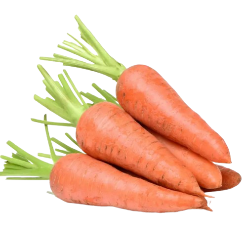 Морква Шантане 20гр Смачний Житомир - изображение 3