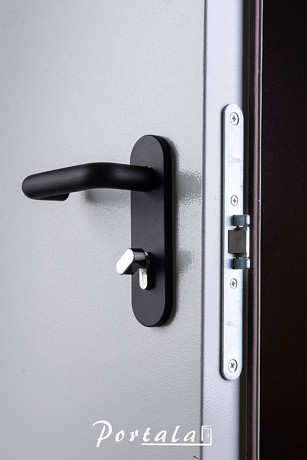 Двері технічні, ЕИ30 , гнутий профіль 80 мм, РАЛ 7035, товщина полотна 60 мм Київ - фото 3