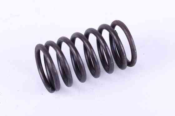 Пружина клапана наружная DLH1100 Мукачево