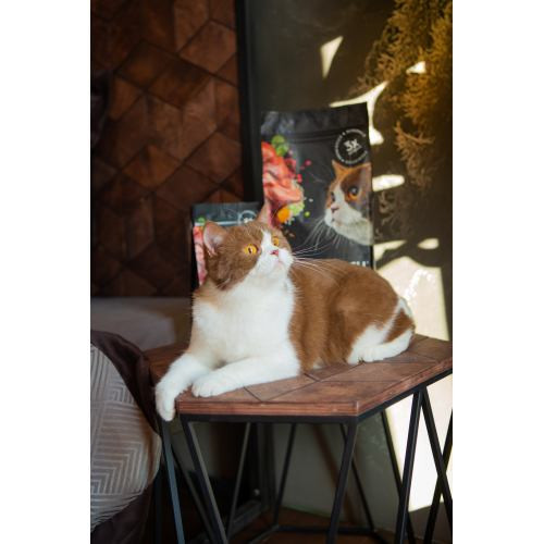 Корм сухий Savory Adult Cat Sensitive Digestion Fresh Lamb and Turkey для дорослих котів з чутливим травленням зі свіжою ягн Київ - фото 5