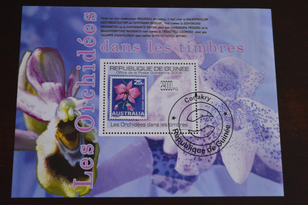 Гвинея. Малый лист. 2009 год. Флора (Б) Полтава - изображение 1